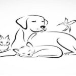 18- La santé de nos animaux de compagnie