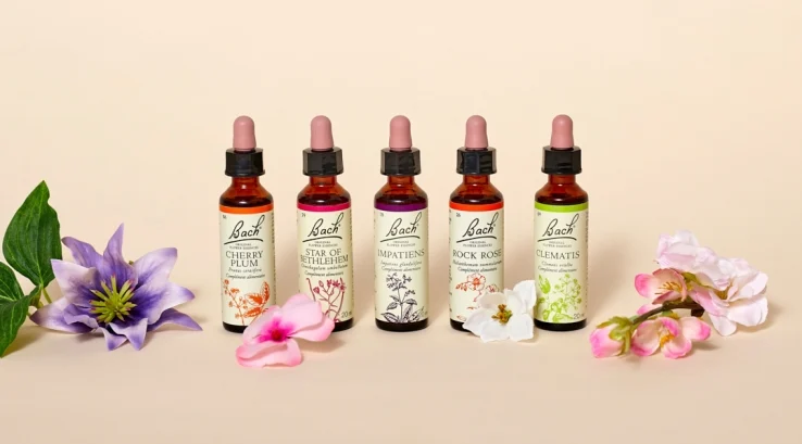 Lire la suite à propos de l’article Savoir utiliser les fleurs de Bach